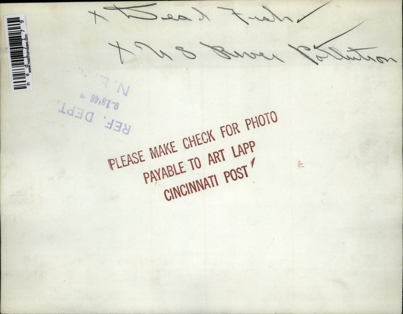 Load image into Gallery viewer, 1946 Press Photo Cinncinati Ohio Fish Mgt R Rhodes &amp; H Brand check poisoned carp
