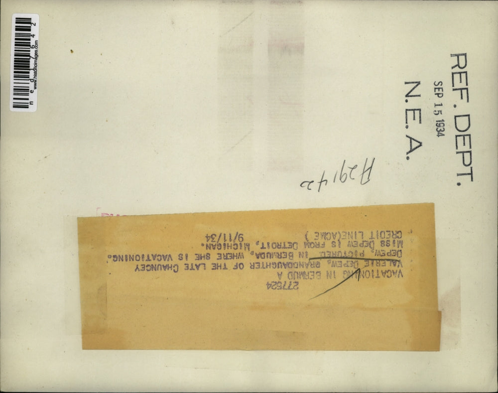 1934 Press Photo Valerie Depew in Bermuda with a dog & puppies