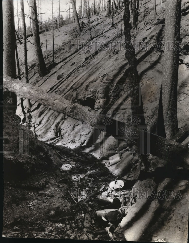 1939 Press Photo Gulch where Ranger Clayton & men were trapped in a fire