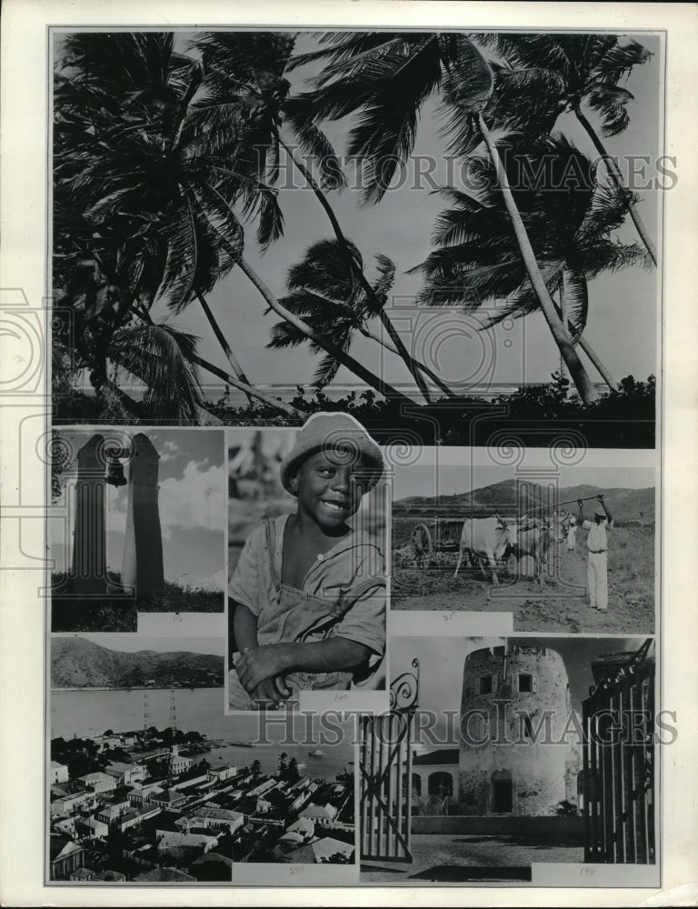 1936 Press Photo Virgin Island scenes of trees & buildings