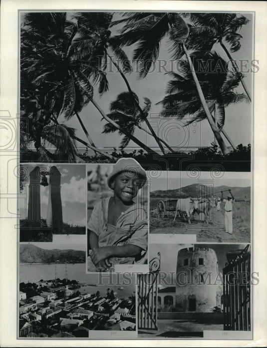 1936 Press Photo Virgin Island scenes of trees & buildings