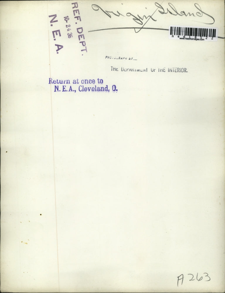 1936 Press Photo Virgin Island scenes of trees & buildings