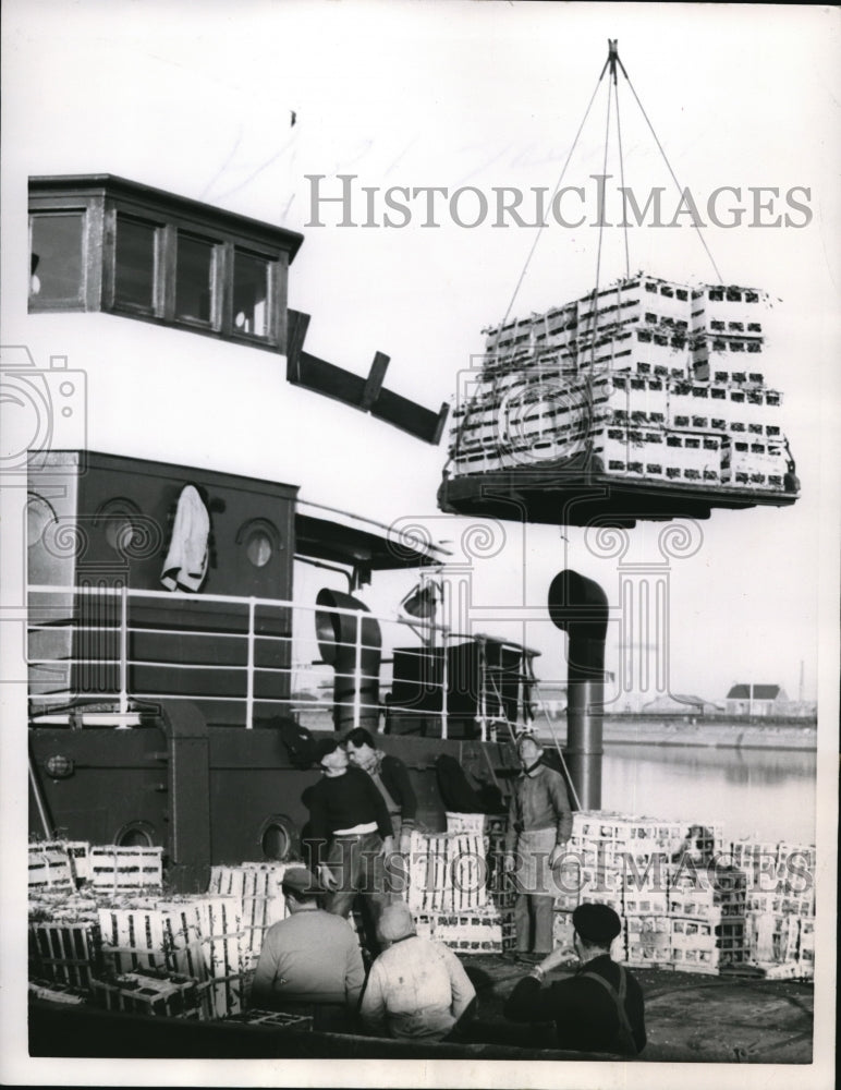 Load image into Gallery viewer, 1957 Press Photo Saint Malo France kisses will be plentifulto judge from cargo
