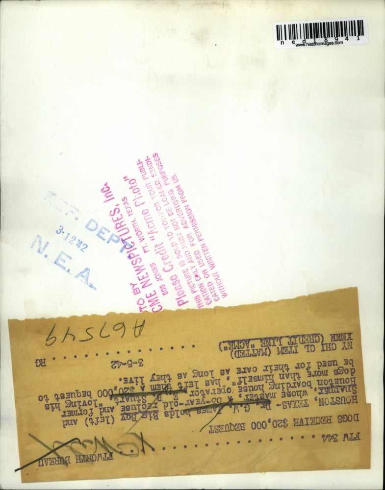 1942 Press Photo Dr GW James with dogs Big Boy and Snapner in Houston, Texas