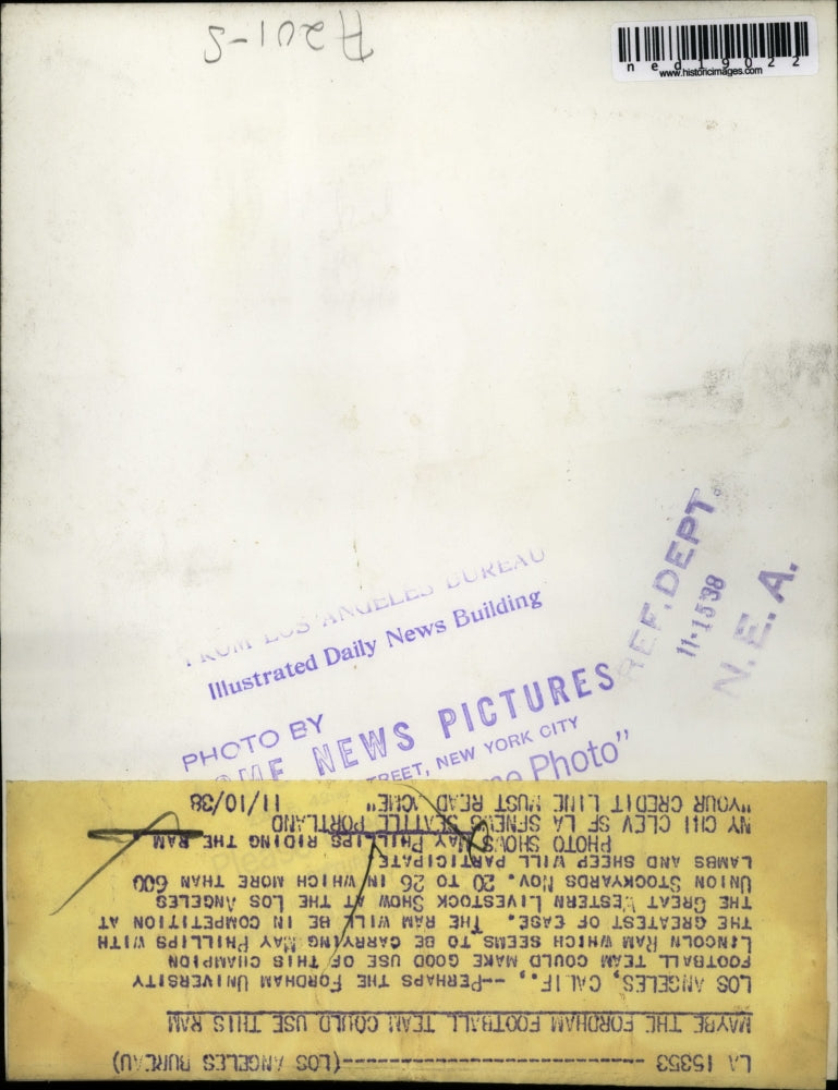 1938 Press Photo May Phillips On Ram To Be In Great Western Livestock Show