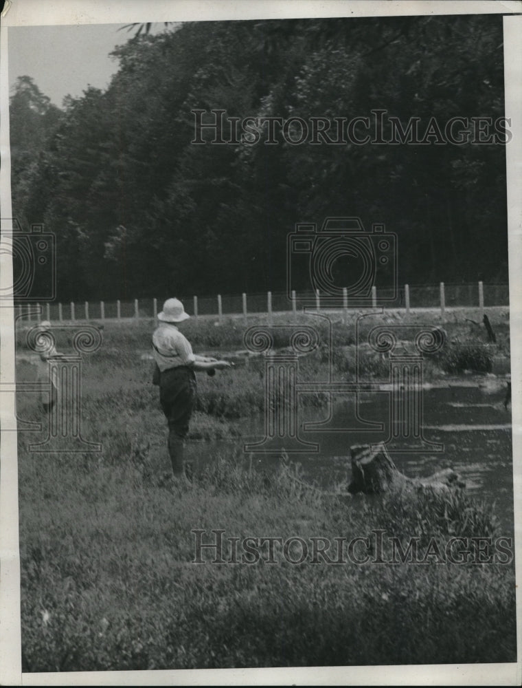 1934 Press Photo Trout Fishing in Spring Creek, Pennsylvania
