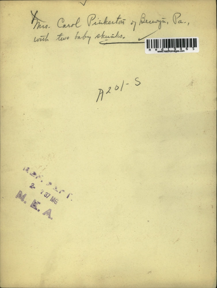 1937 Press Photo Mrs. Carol Pinkerton with 3 baby skunks