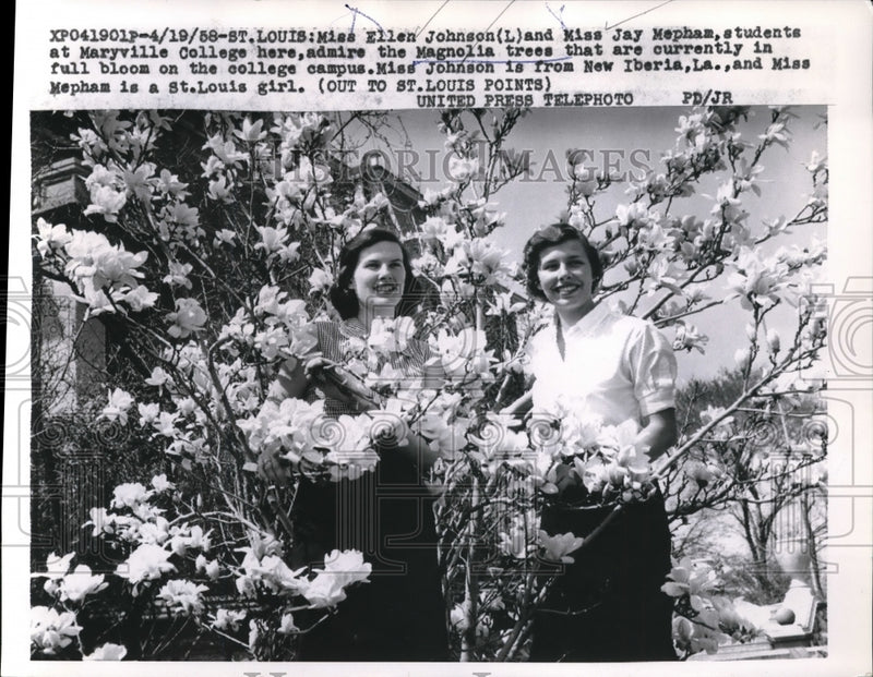 Load image into Gallery viewer, 1958 Press Photo St. Louis Ellen Johnson Jay Mephas Marryville College Magnolia

