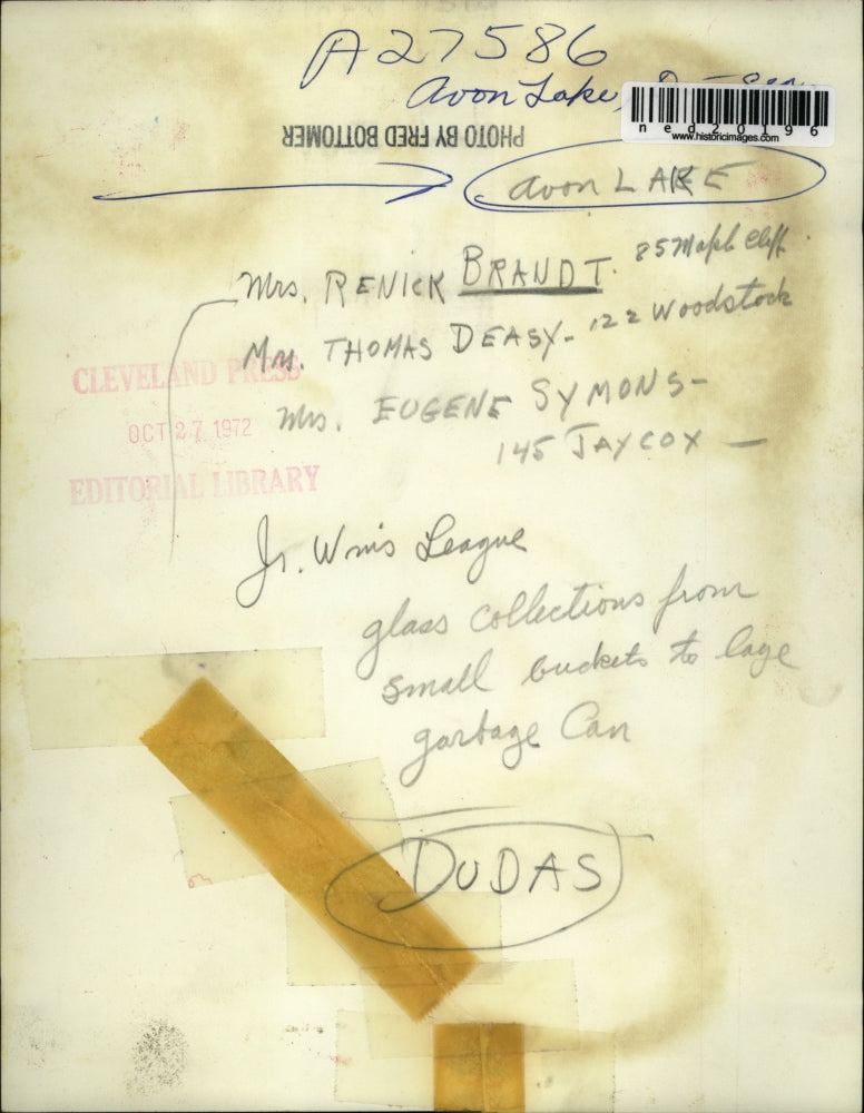 1972 Press Photo Mrs.Renick Brandt, Mrs.Thomas Deasy, Mrs. Eugene Symons