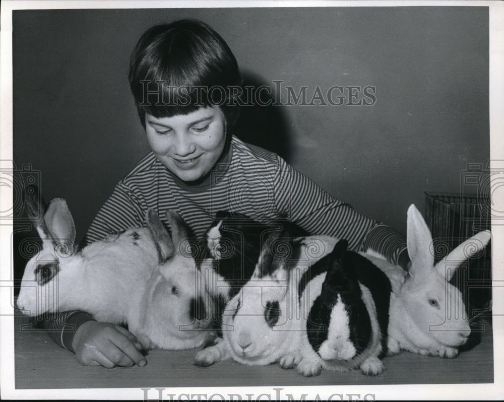 1968 Press Photo Rita Wessolek With APL Rabbits From Fairyland