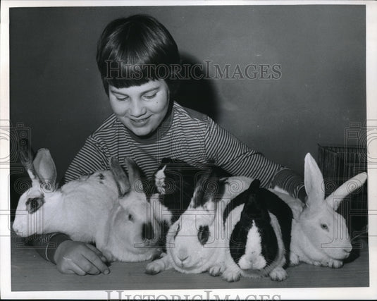 1968 Press Photo Rita Wessolek With APL Rabbits From Fairyland