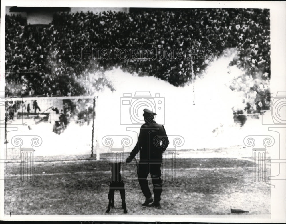 1964 Press Photo Policeman and dog stand on watch as police lob tear gas- Historic Images