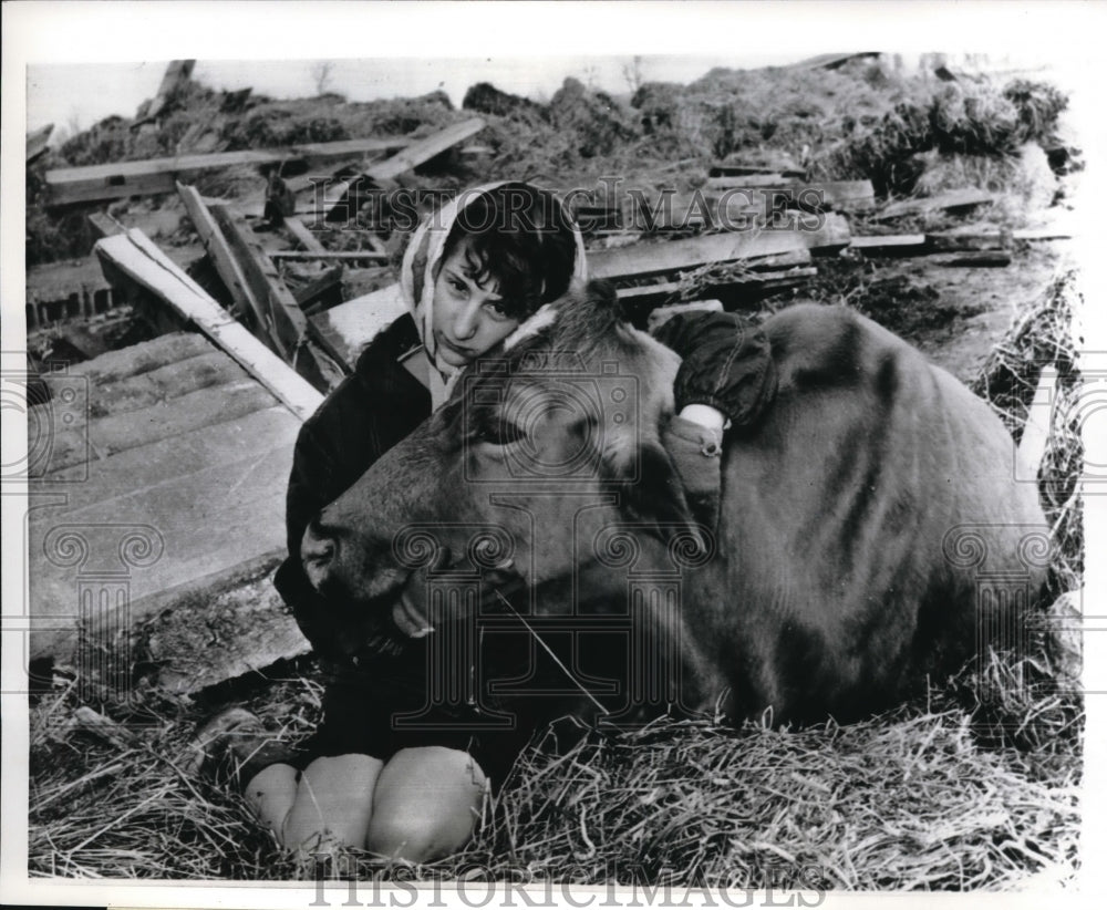 1965 Press Photo Candy Spencer,13 year old farm girl and Baker the cow.
