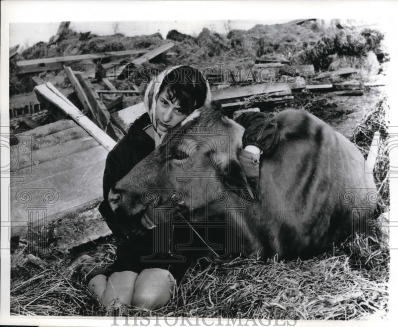 Load image into Gallery viewer, 1965 Press Photo Candy Spencer,13 year old farm girl and Baker the cow.
