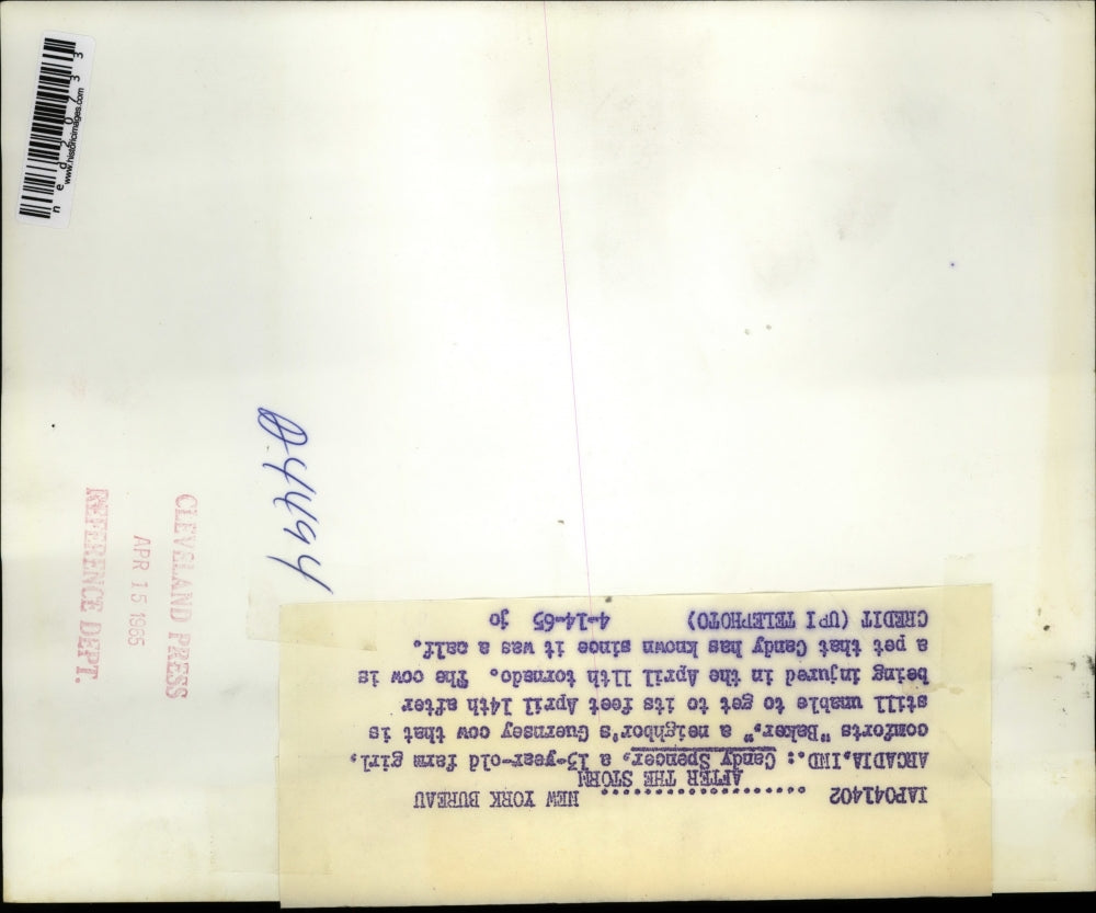 1965 Press Photo Candy Spencer,13 year old farm girl and Baker the cow.