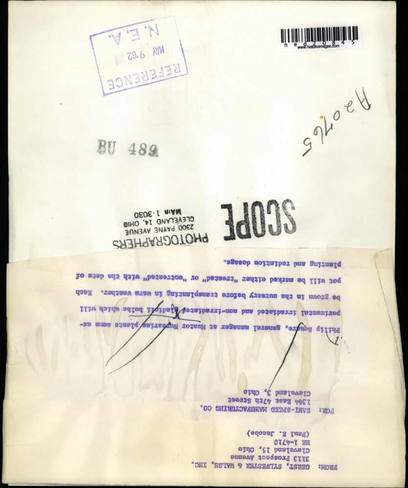 1962 Press Photo Philip Square Plants Experimental Bulbs To Be Grown