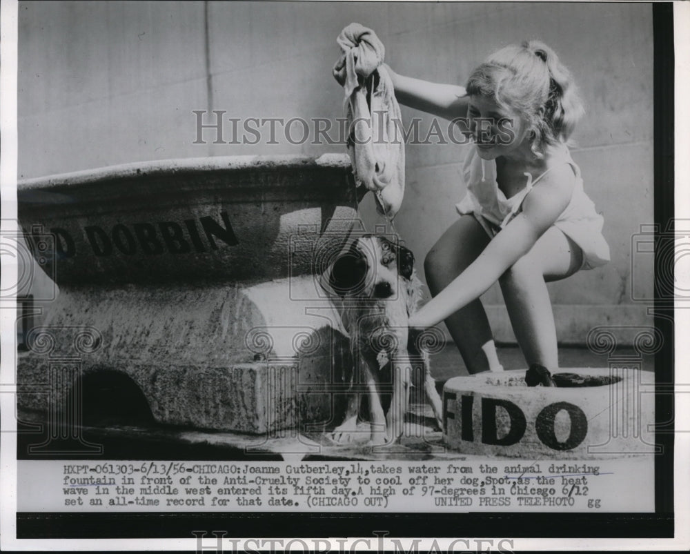 1956 Press Photo Joanne Gutberley cools off dog