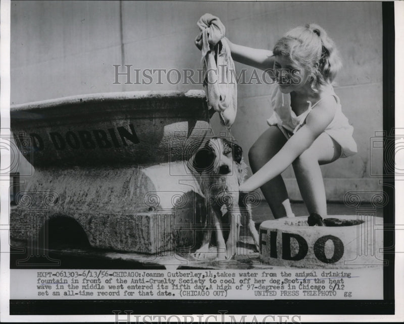 Load image into Gallery viewer, 1956 Press Photo Joanne Gutberley cools off dog
