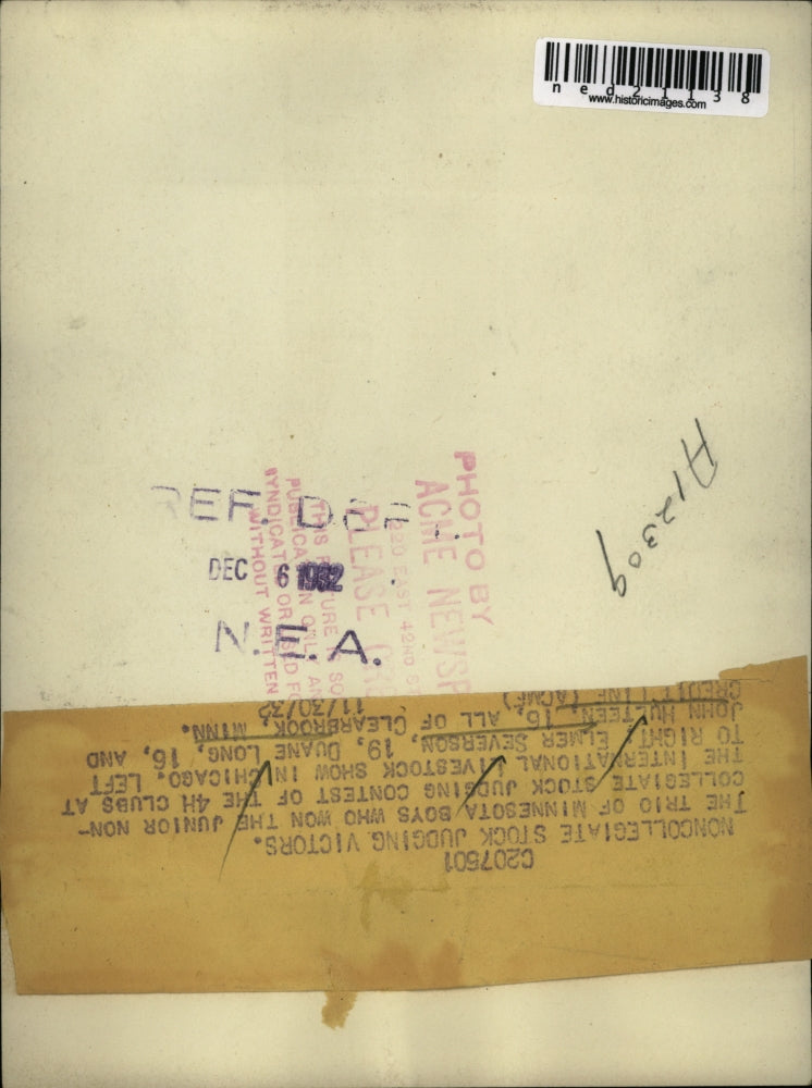 1932 Press Photo 4H Club International Livestock Show Chicago Judging Victors