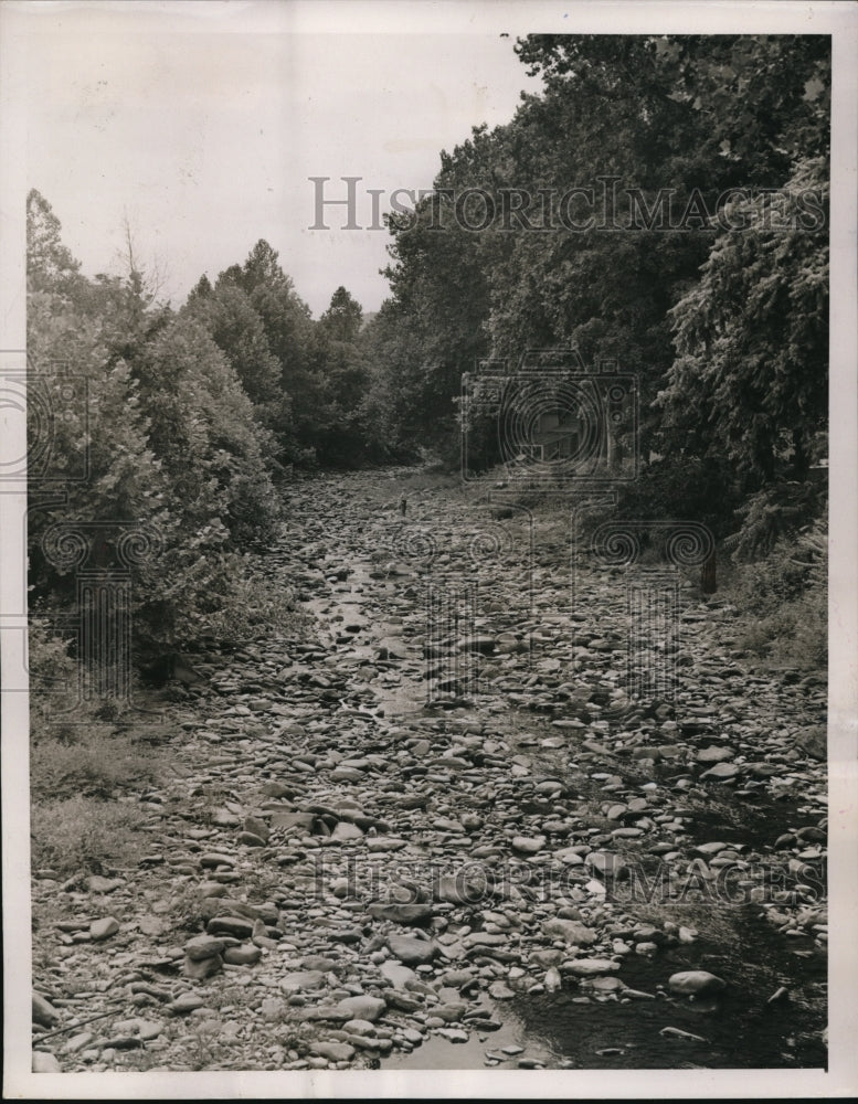 1939 Press Photo Beer Kill Creek Runs Dry After Drought