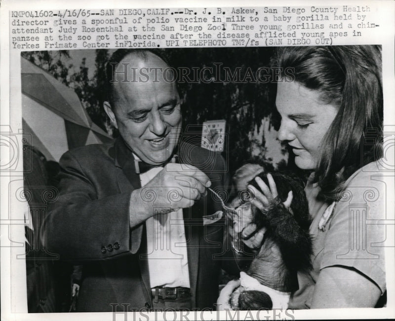 Load image into Gallery viewer, 1965 Press Photo San Diego Dr J B Askew San Diego County Health director gives
