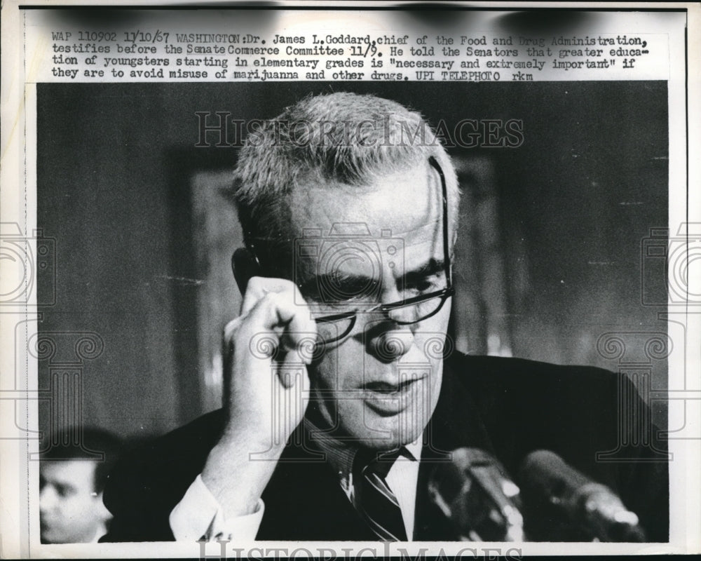 1967 Press Photo Dr James L. Goddard, chief of the FDA, Washington, DC.