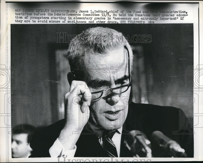 Load image into Gallery viewer, 1967 Press Photo Dr James L. Goddard, chief of the FDA, Washington, DC.
