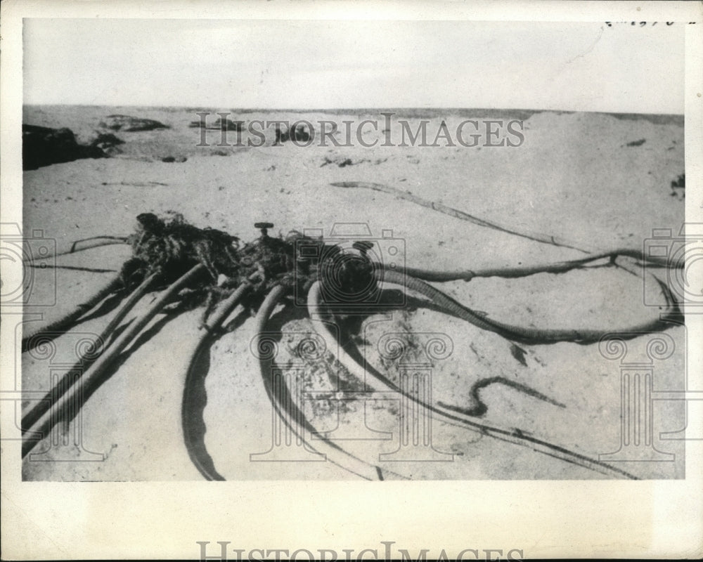 1943 Press Photo Somewhere in North Africa  hoses of Nazi troops in desert- Historic Images