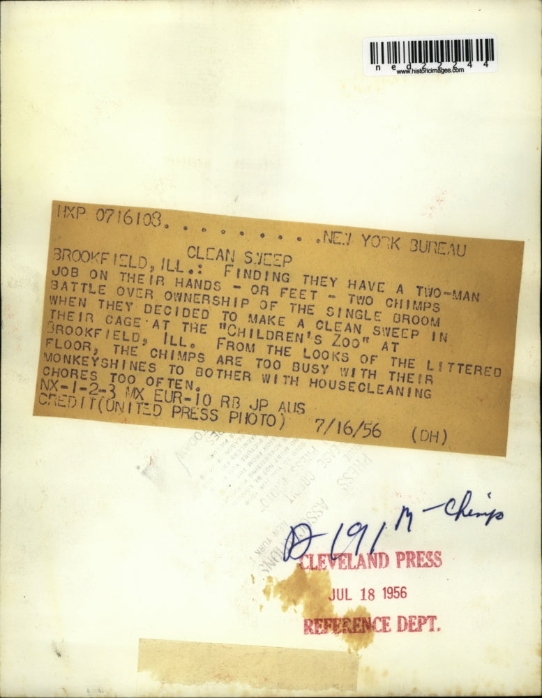 1956 Press Photo Brookfield Illinois Two Chimps Fight Over Broom Children Zoo