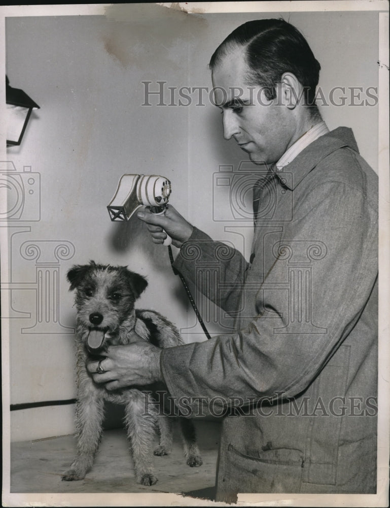 Load image into Gallery viewer, 1935 Press Photo James Kam dog beauty shop owner drys a pet dog
