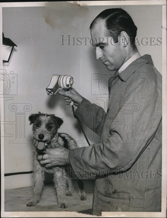 1935 Press Photo James Kam dog beauty shop owner drys a pet dog