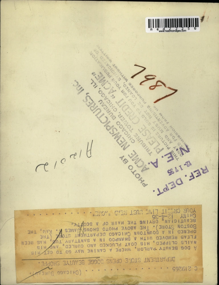 1935 Press Photo James Kam dog beauty shop owner drys a pet dog