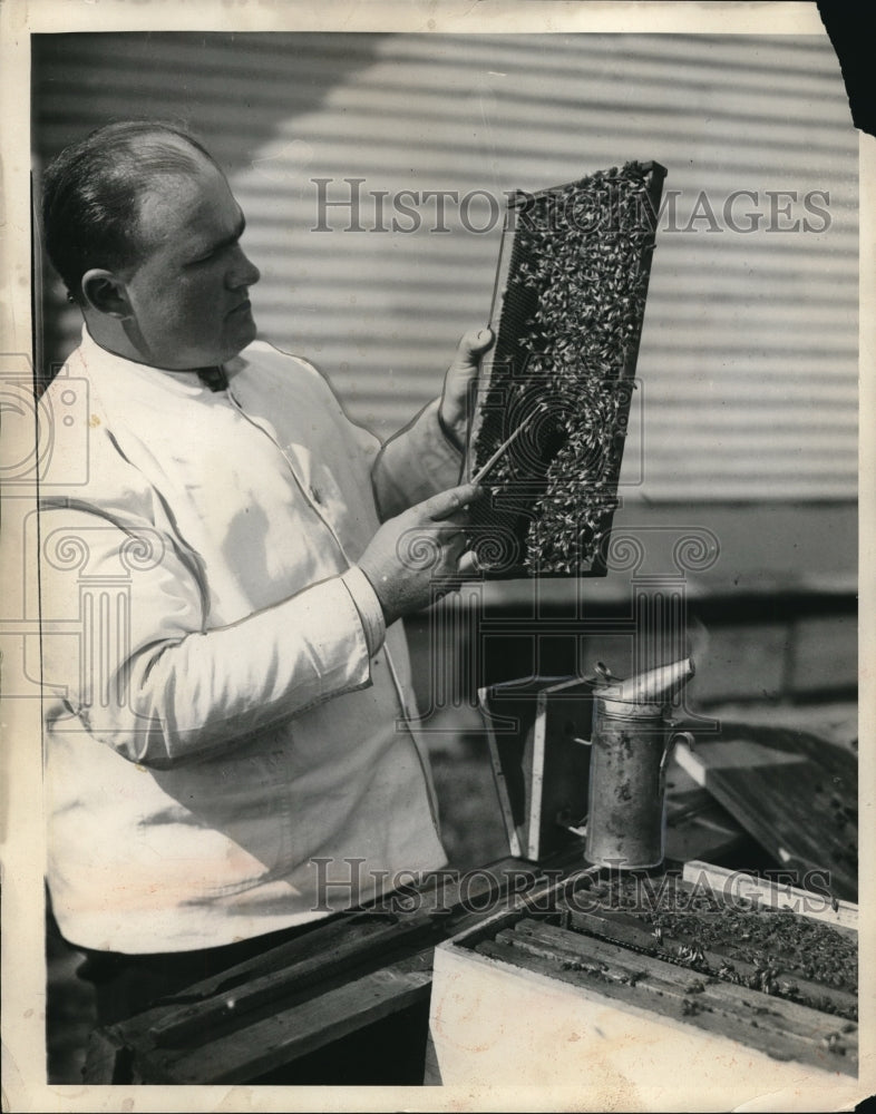 Load image into Gallery viewer, 1931 Press Photo John Stofka Sec of Cuyahoga City bee keepers assoc in Ohio
