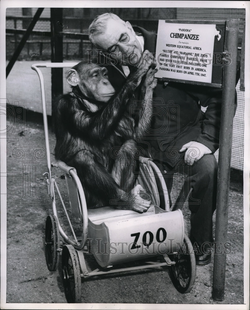 1954 Press Photo Pandora Name Plate Cage Home Marianne Zoo