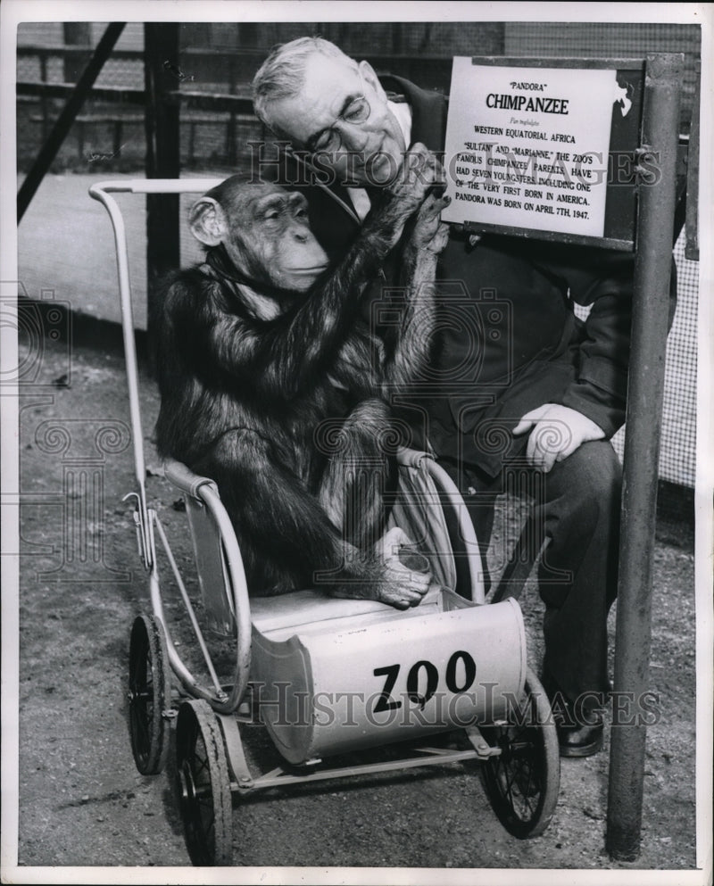 Load image into Gallery viewer, 1954 Press Photo Pandora Name Plate Cage Home Marianne Zoo
