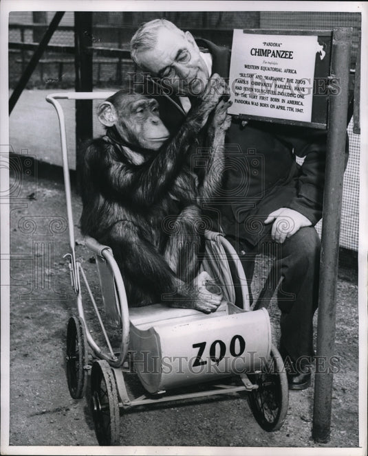 1954 Press Photo Pandora Name Plate Cage Home Marianne Zoo