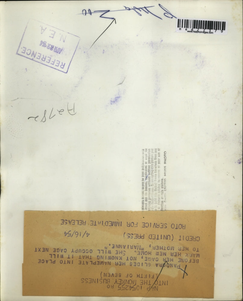 1954 Press Photo Pandora Name Plate Cage Home Marianne Zoo