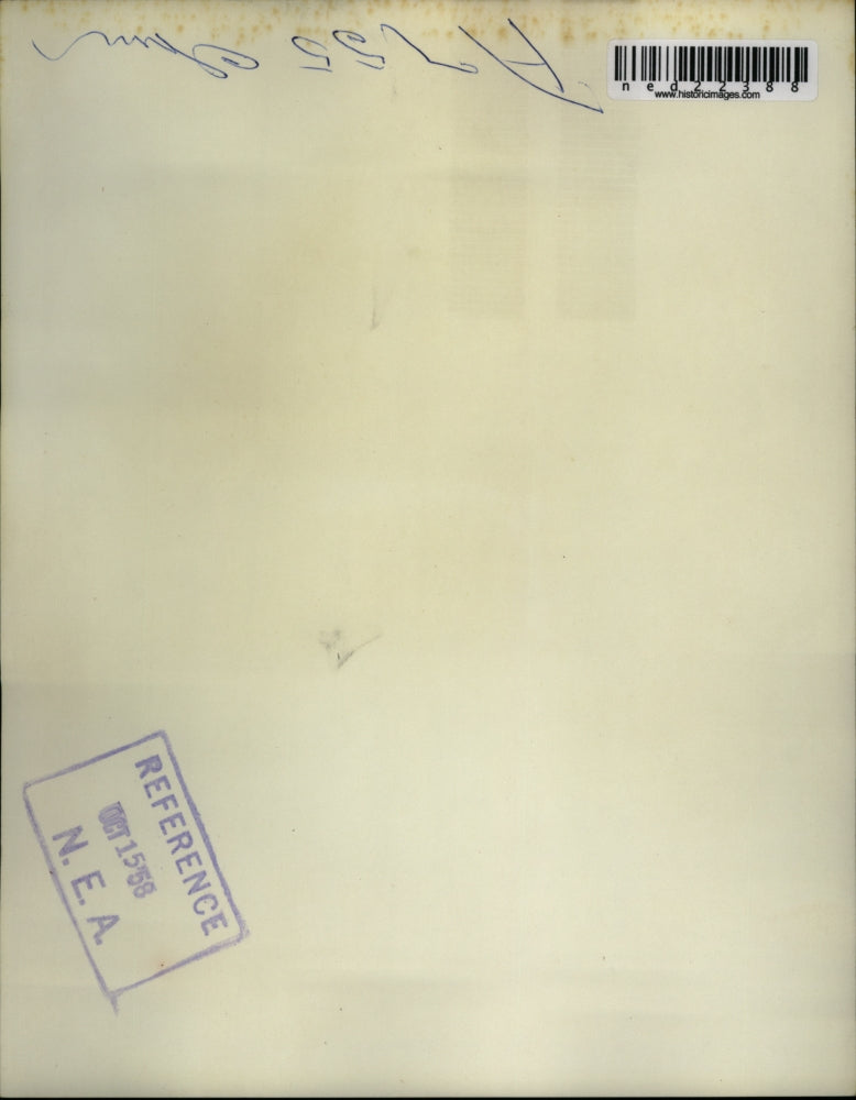 1958 Press Photo BostonSally Chimpanzee Removed From Tree Police Franklin Zoo