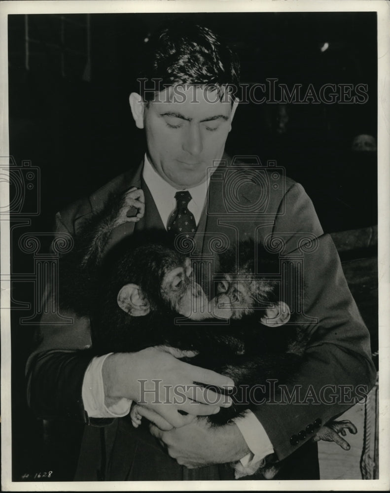 1940 Press Photo these chimps in the first shipment of expedition reached Boston