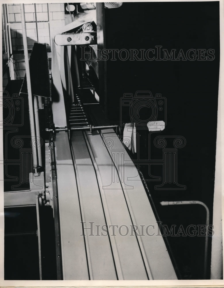1950 Press Photo Conveyor Belt Factory Packaged Cheese Manufacturing