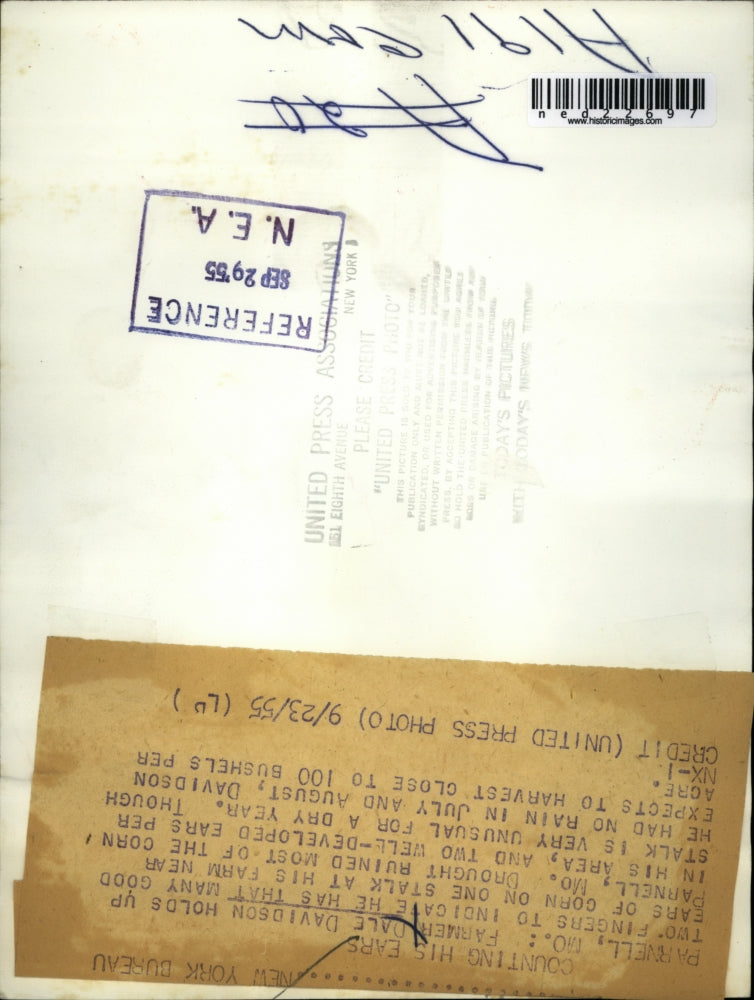 1955 Press Photo Parnell Mo farmer Dale Davidson and his corn crop