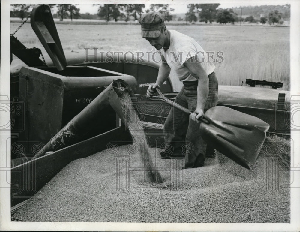 1946 Press Photo Clay County Mo farmer Garnett Davis at his wheat harvest