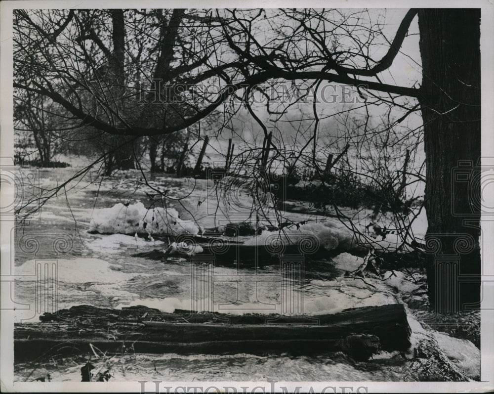 1934 Press Photo River Mole Corham Surrey England Flooding Countryside Nature