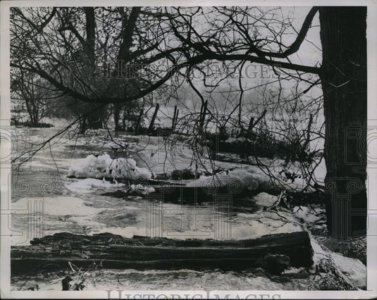 1934 Press Photo River Mole Corham Surrey England Flooding Countryside Nature