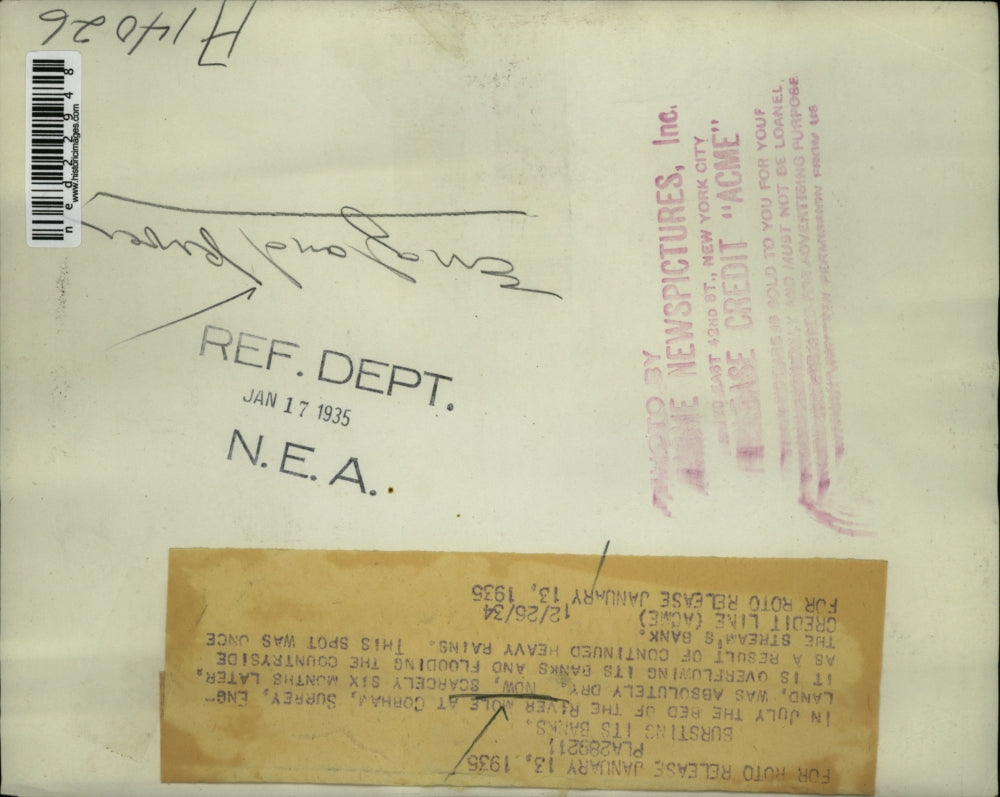 1934 Press Photo River Mole Corham Surrey England Flooding Countryside Nature