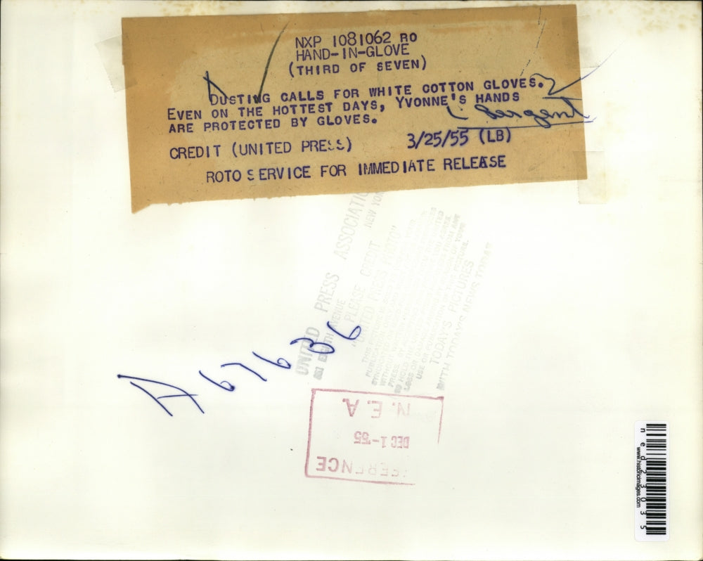 1955 Press Photo Yvonne Sergeant hand model protects them with gloves at home