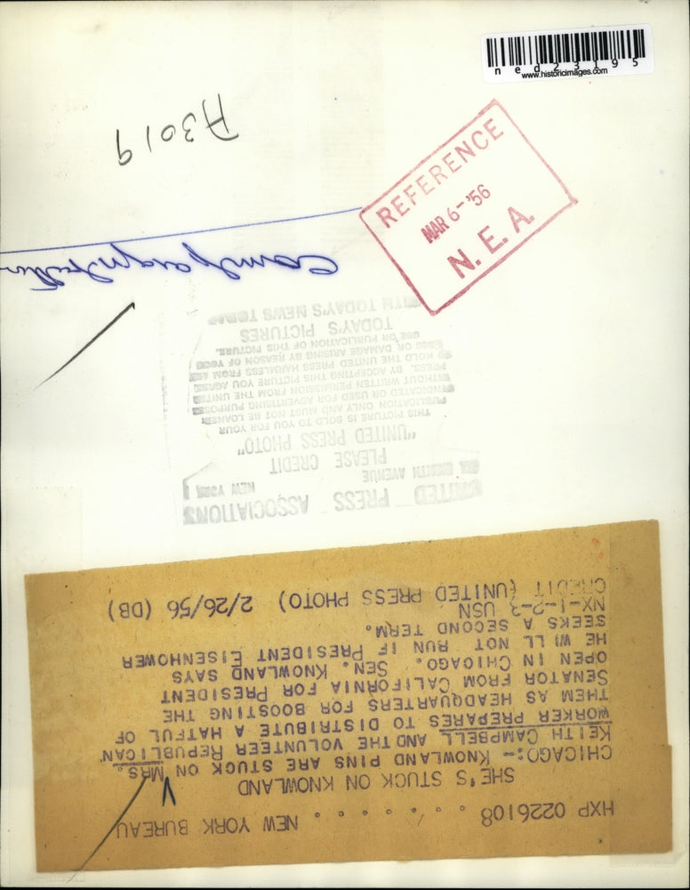 1956 Press Photo Mrs Keith Campbell Volunteer Republican Campaign Worker Chicago