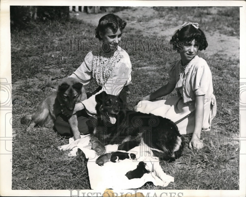1941 Press Photo Ellen Schultz and sister, Evelyn, with dog and new pups
