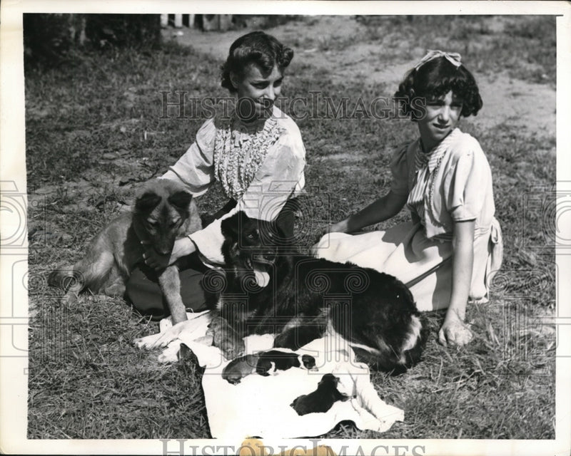 Load image into Gallery viewer, 1941 Press Photo Ellen Schultz and sister, Evelyn, with dog and new pups
