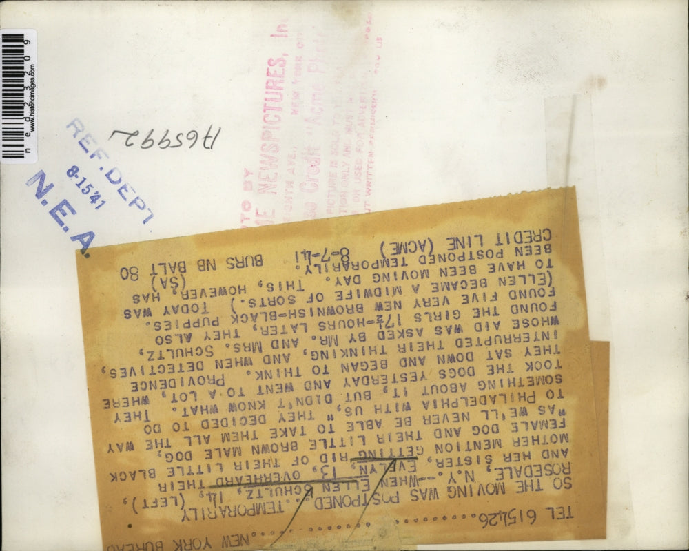 1941 Press Photo Ellen Schultz and sister, Evelyn, with dog and new pups